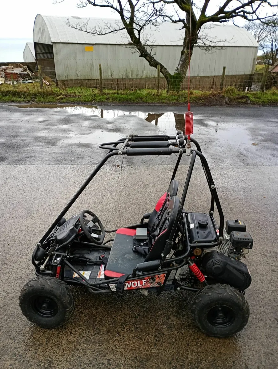Quadzilla Kids petrol buggy - Image 4