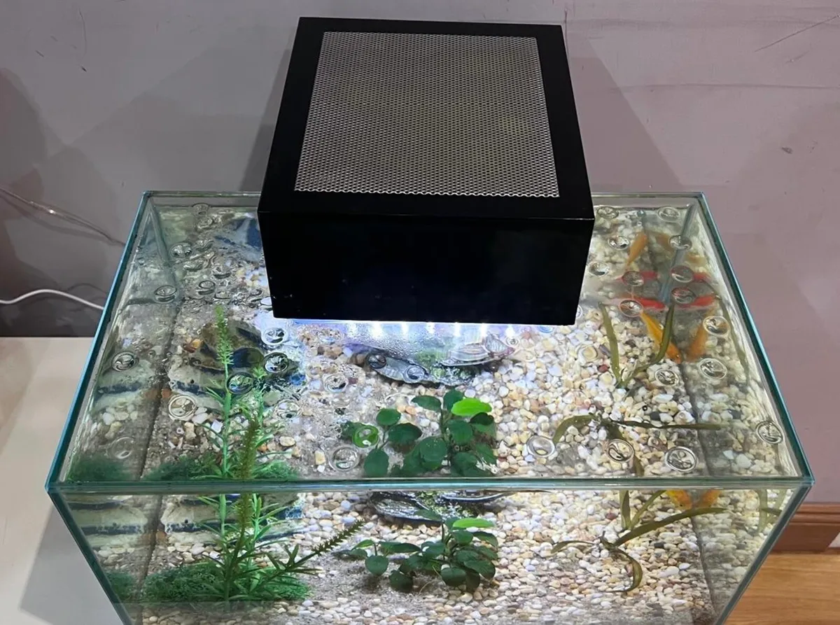 Fish Tank - Image 1