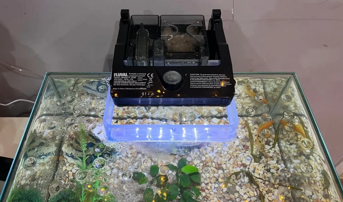 Fish Tank - Image 2