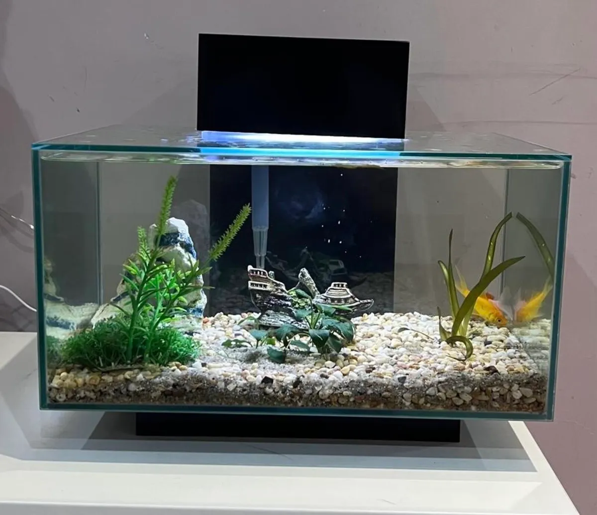 Fish Tank - Image 4