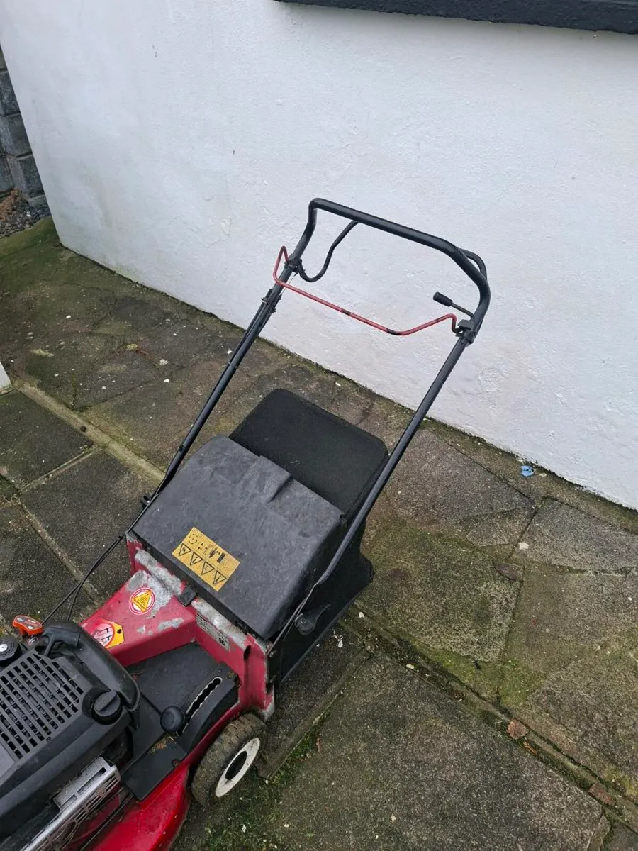 Harry   lawnmower  self-drive - Image 2