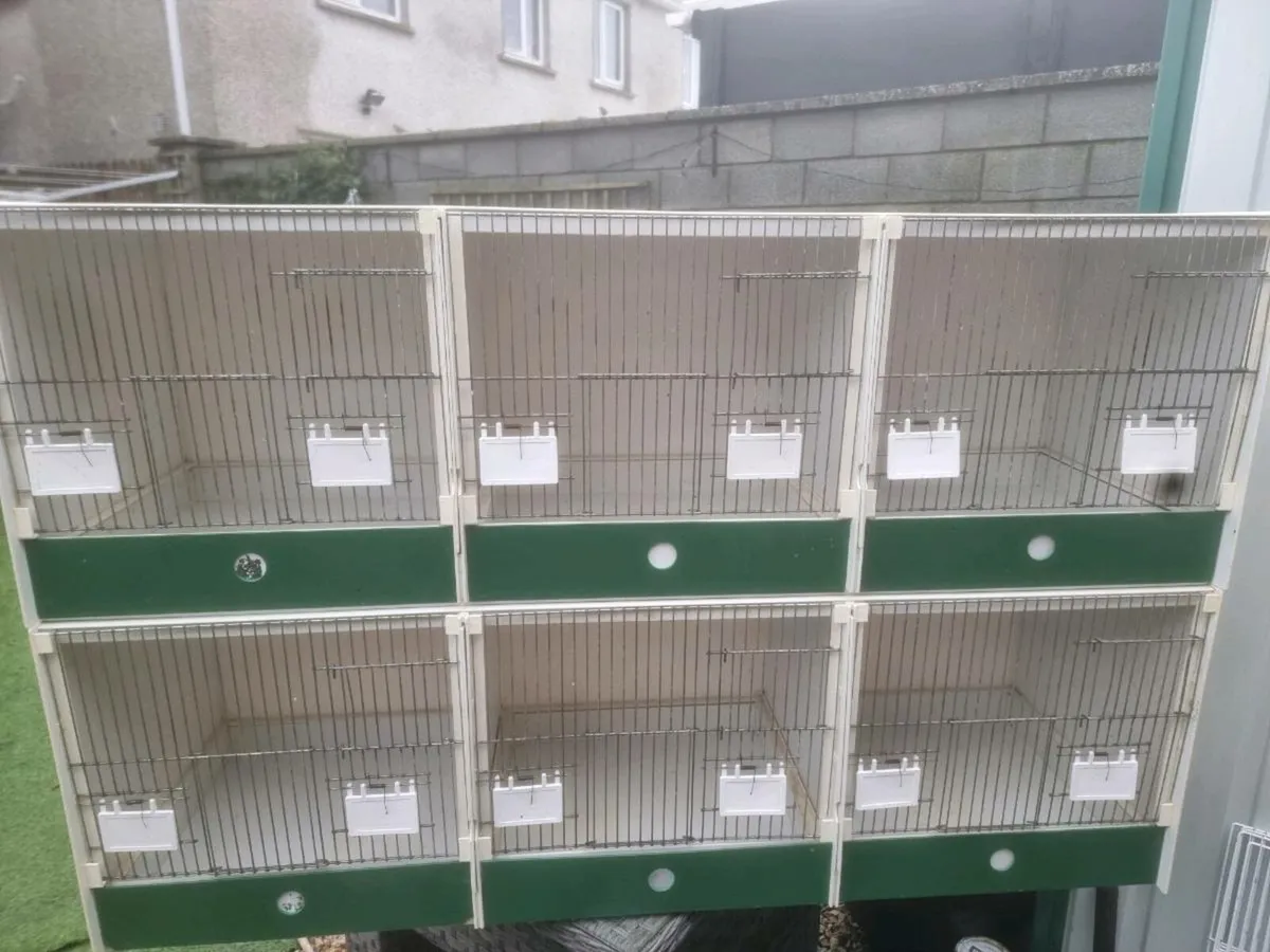 Breeding cage - Image 1