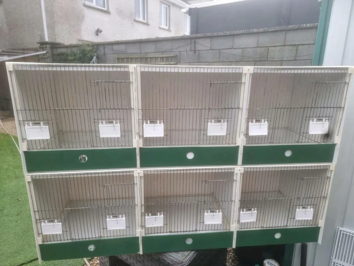 Breeding cage - Image 2