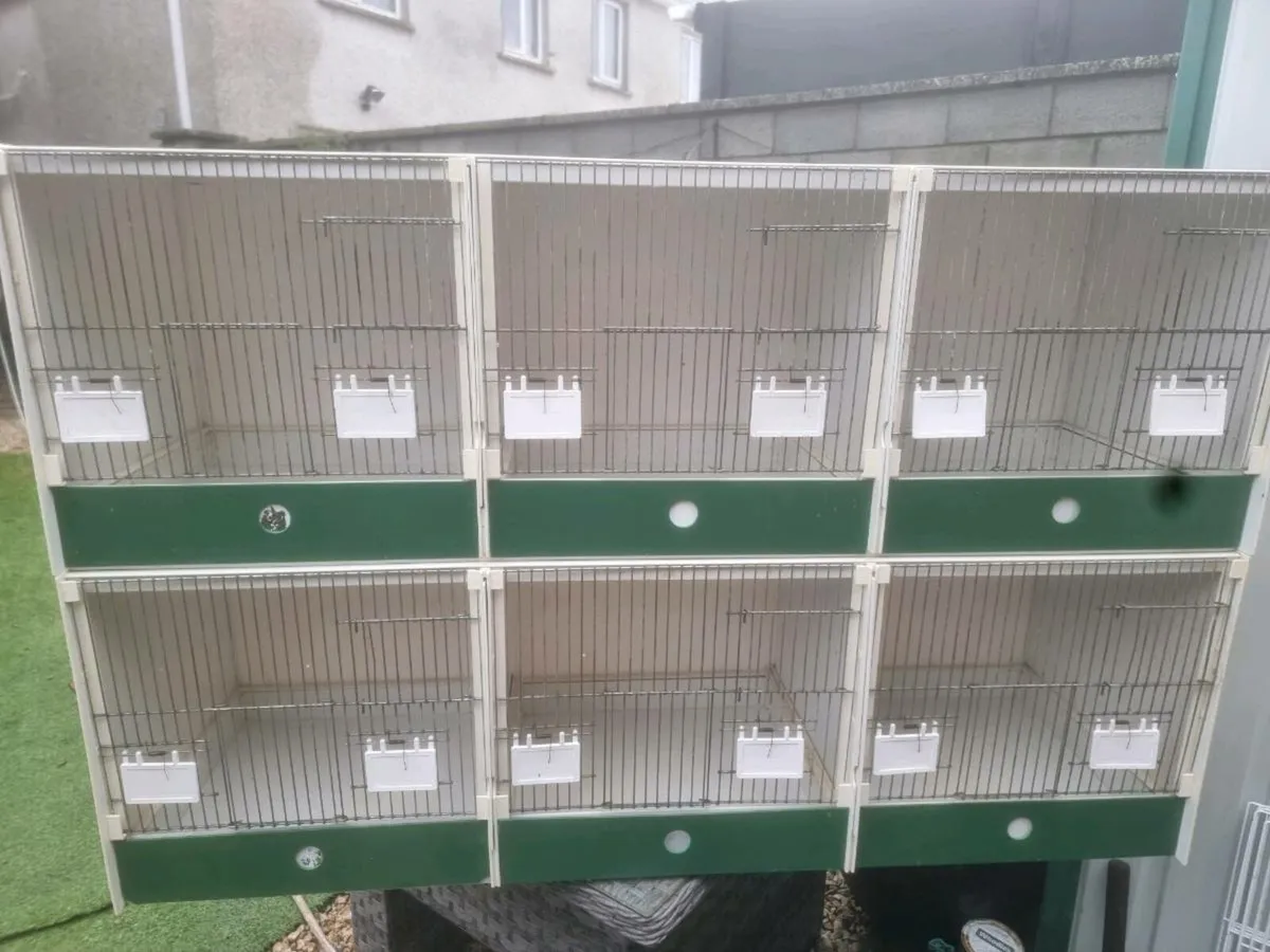 Breeding cage - Image 3