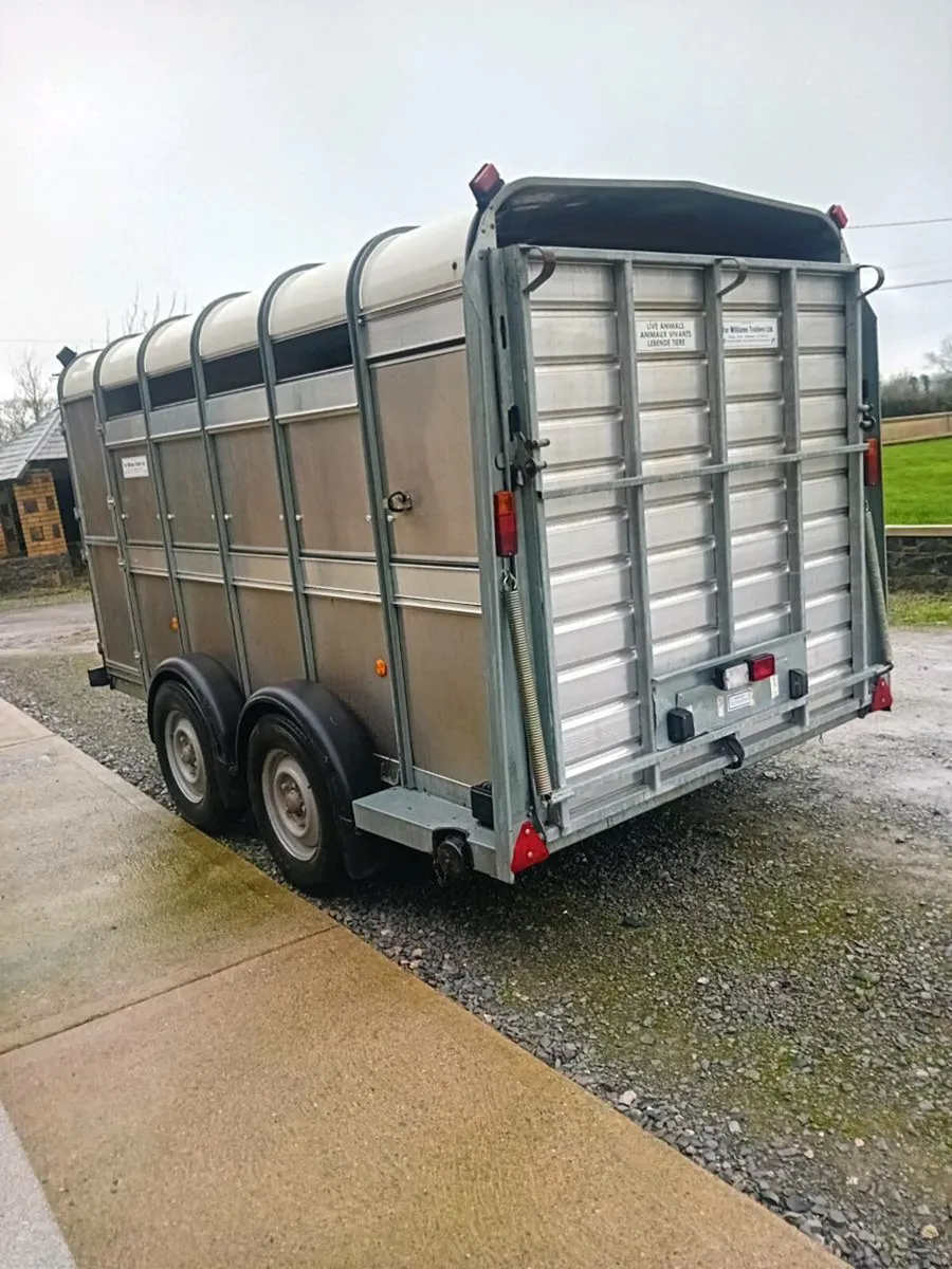 12x6 ivor williams cattle box - Image 3