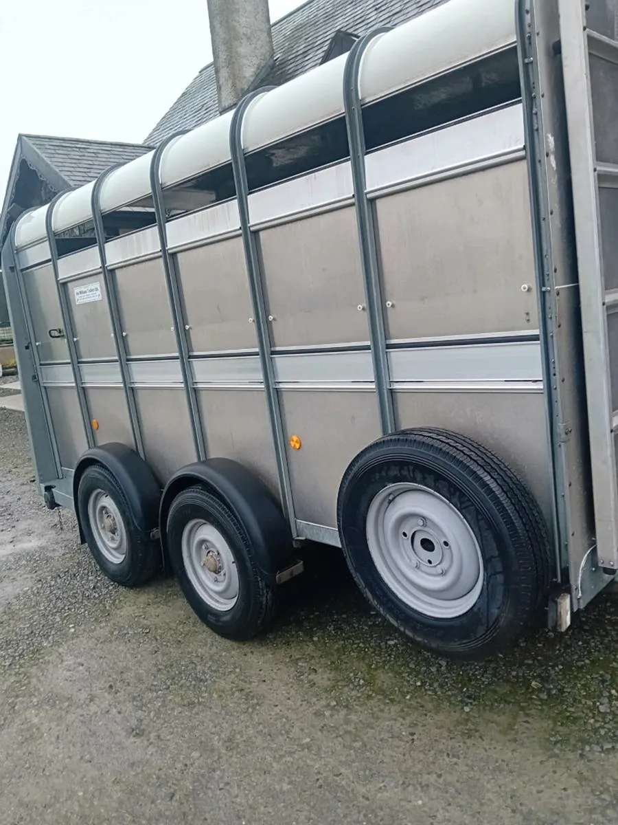 12x6 ivor williams cattle box - Image 4