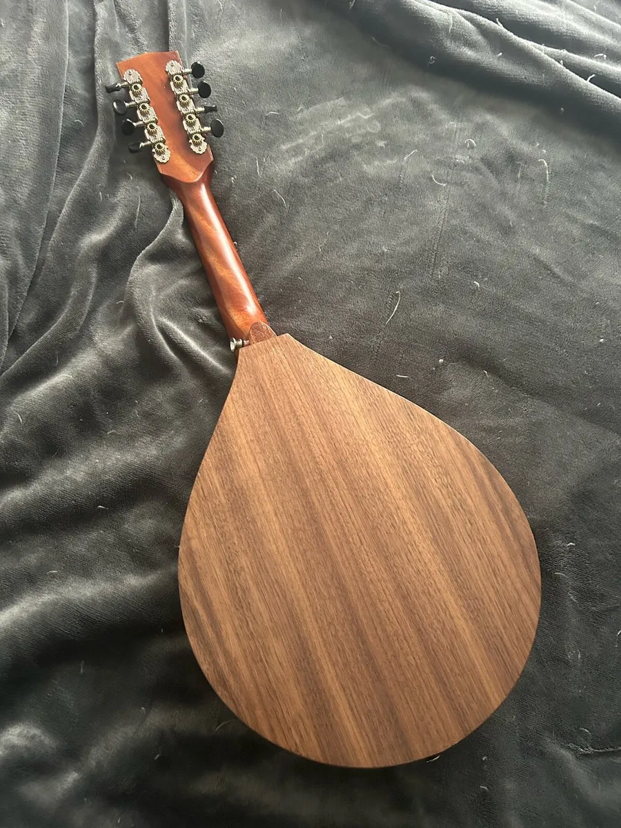 Ashbury mandola - Image 2