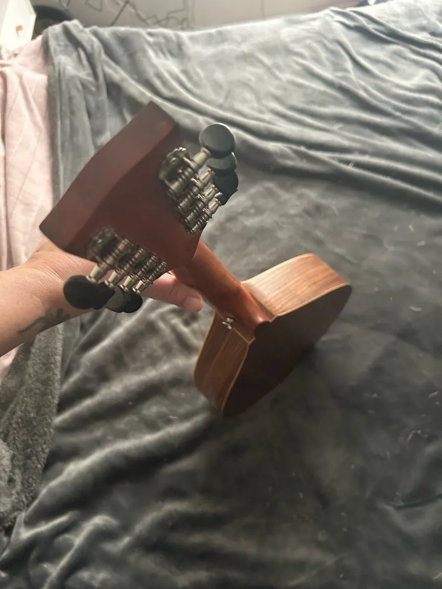 Ashbury mandola - Image 4