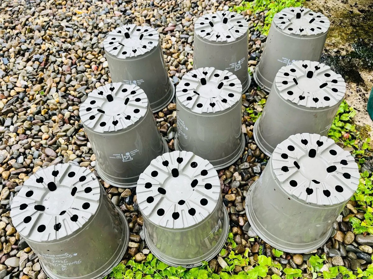 9 Heavy plastic pots - Image 2
