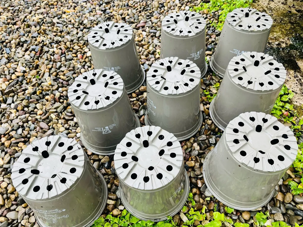 9 Heavy plastic pots - Image 4