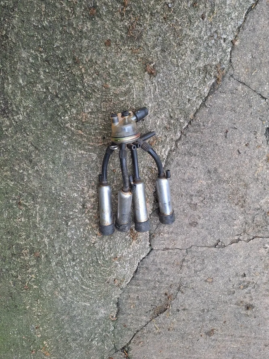 Milking machine clusters - Image 2