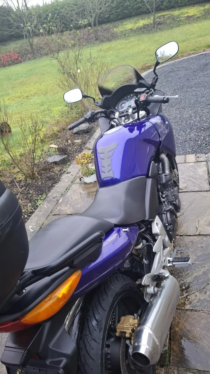 HONDA CBF 600 2004 ABS - Image 2