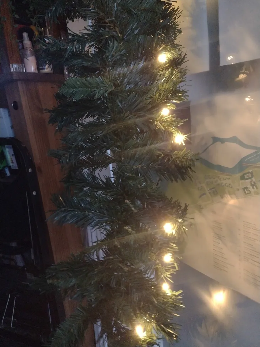 New indoor/outdoor pre-lit 3m Garland - Image 3