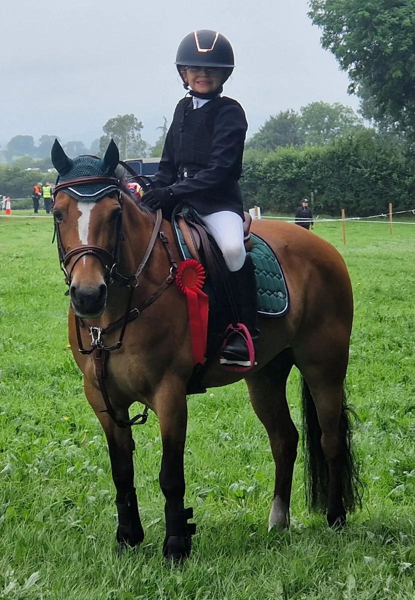 Flashy allrounder - Image 2