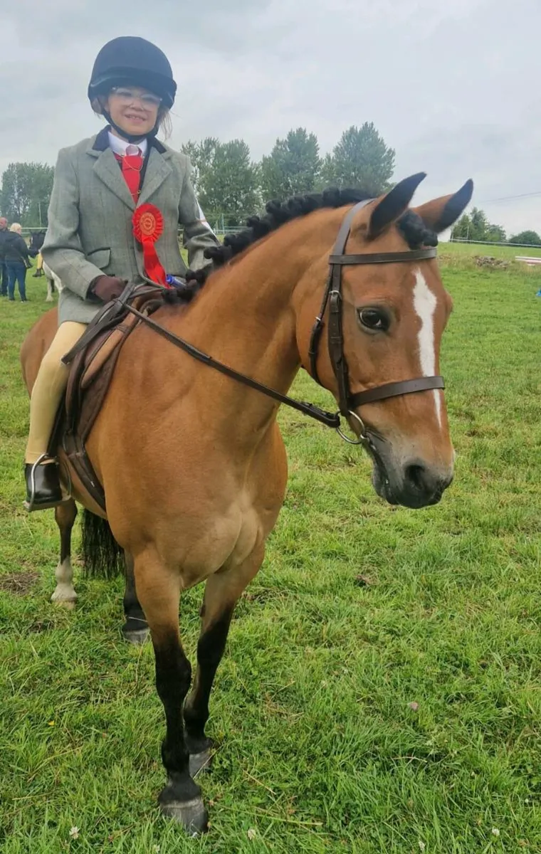 Flashy allrounder - Image 4