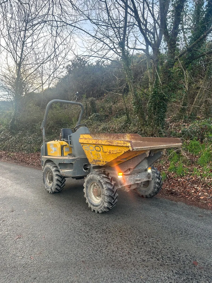 3 ton dumper - Image 3