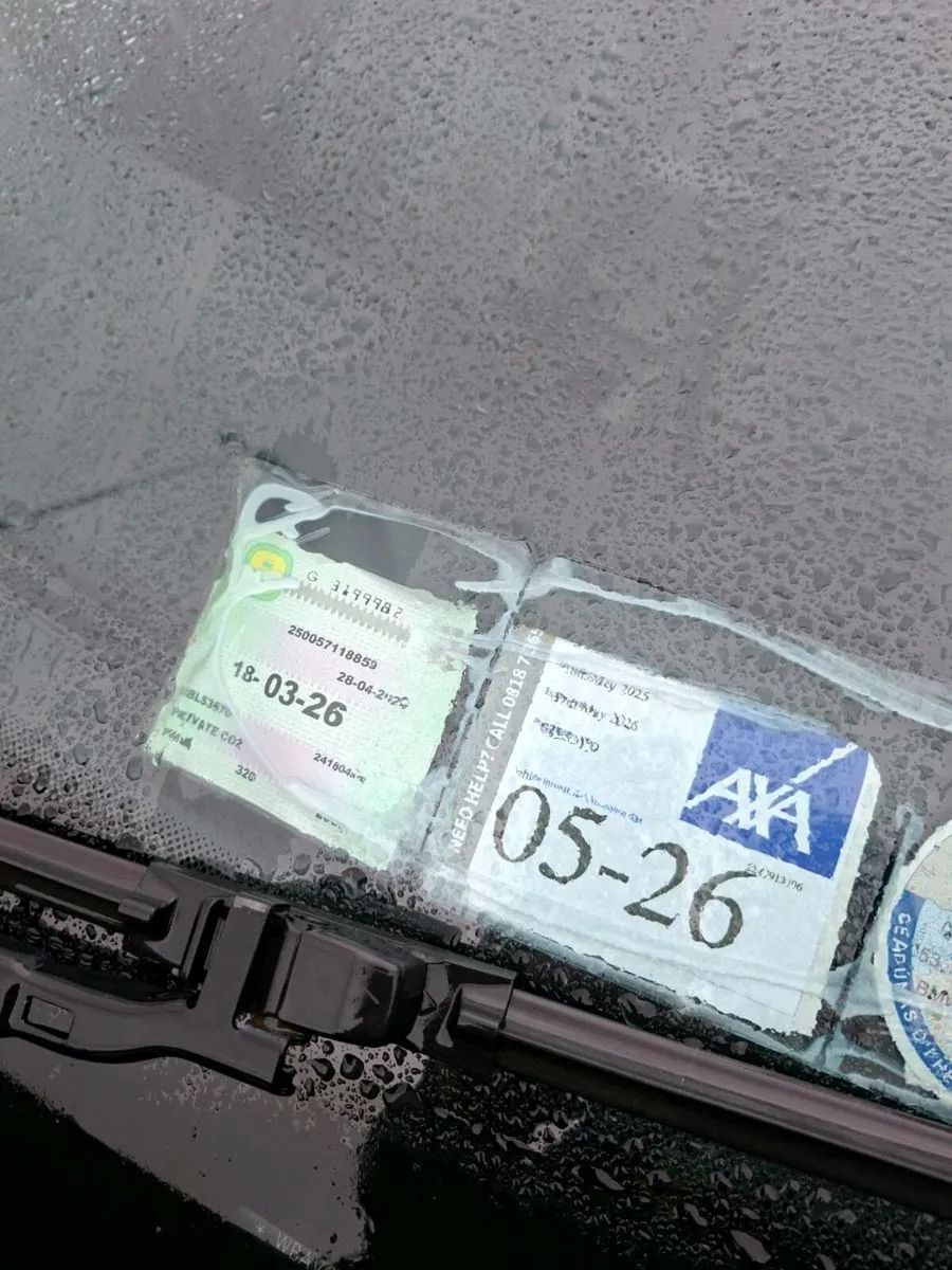 2008 Bmw 3 series - Image 3