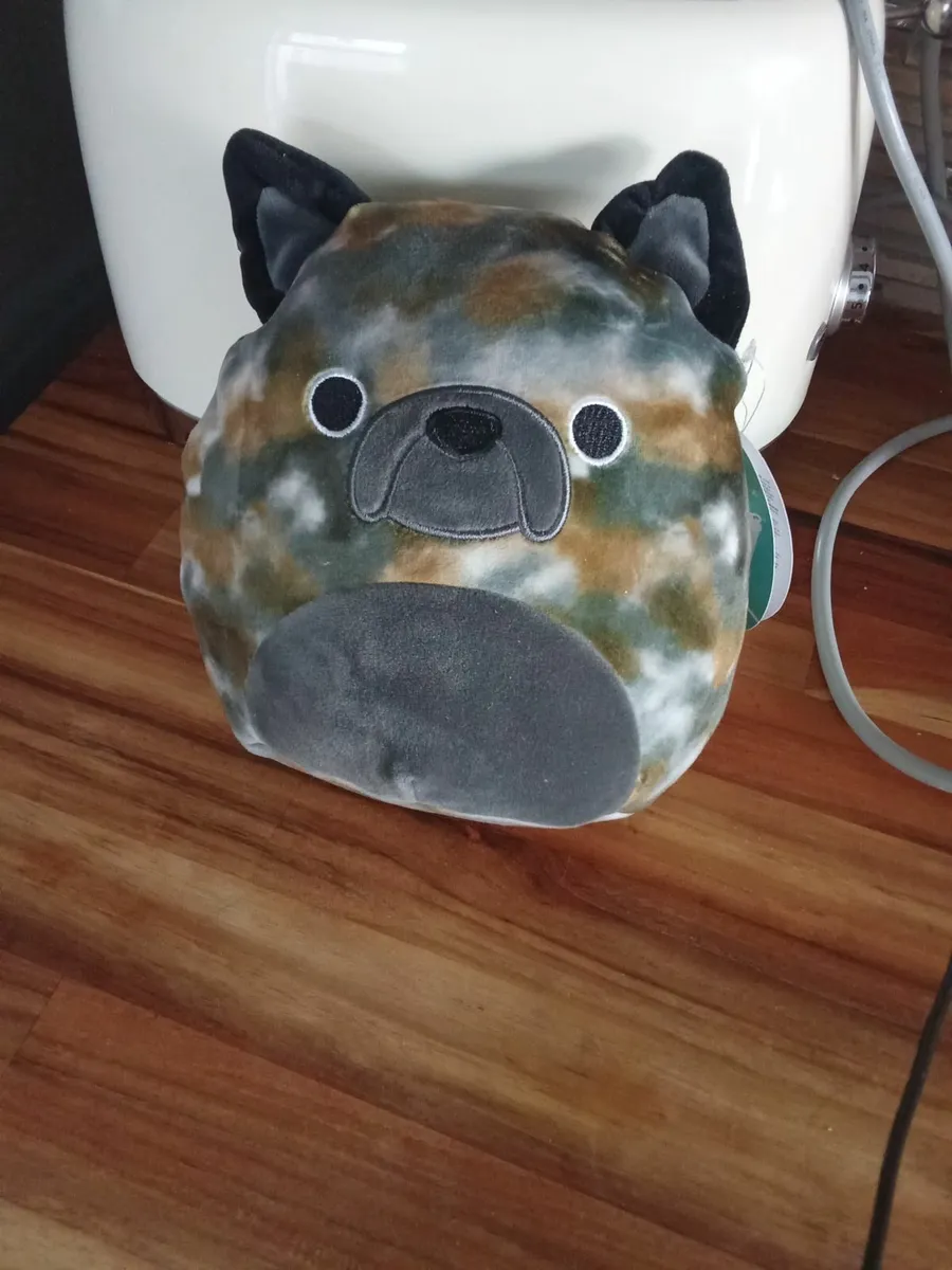 Squishmallow original French bulldog new with tags - Image 1