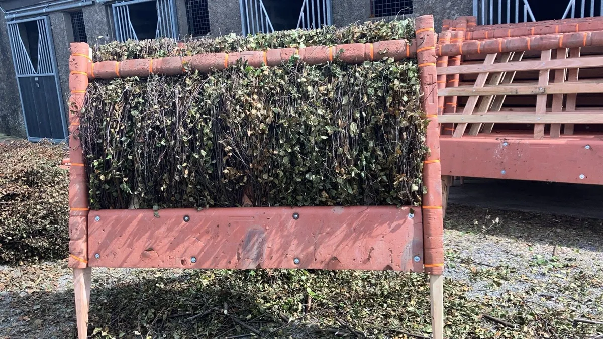 Horse racing hurdles