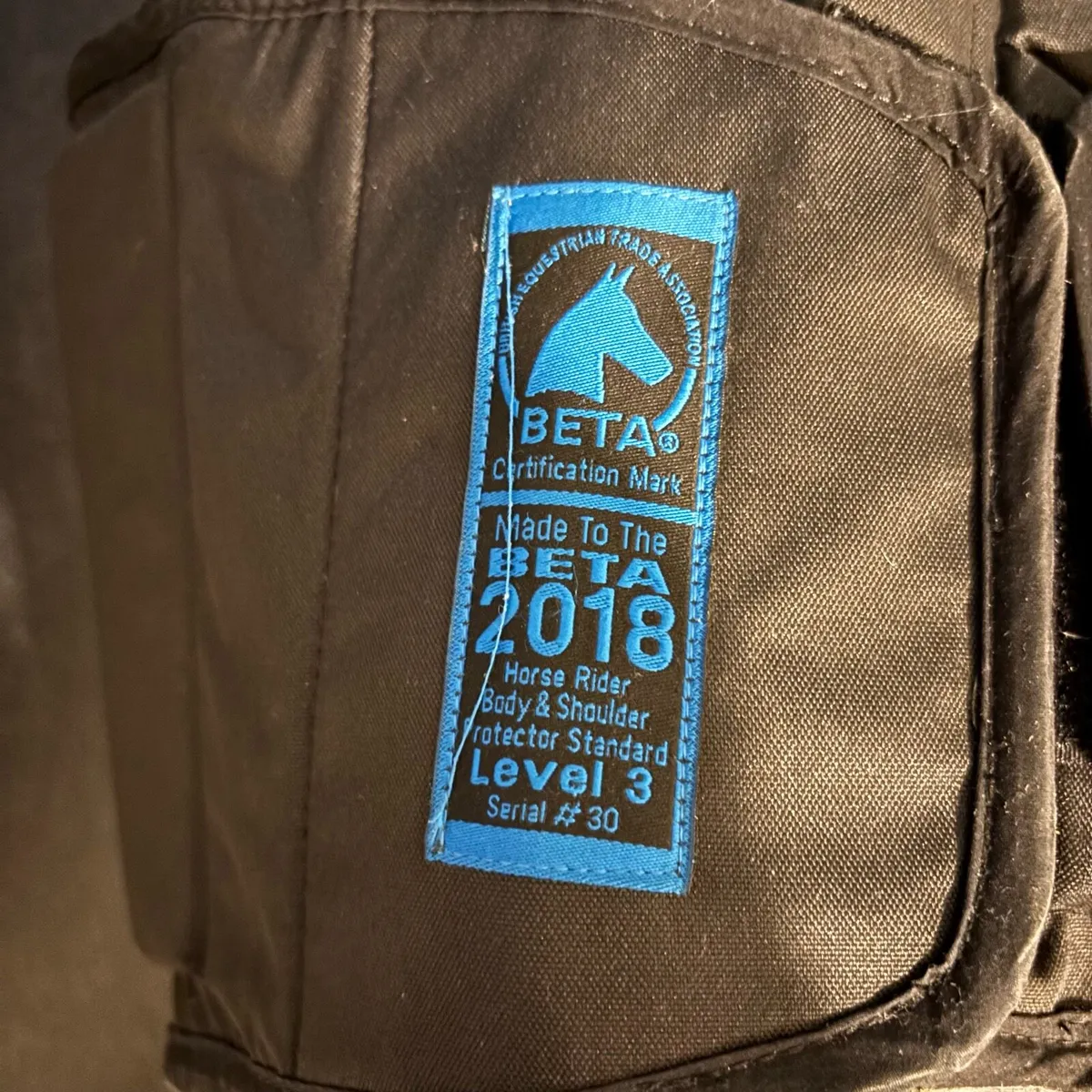 Horse riding Back Protector and  Champion Helmet - Image 3