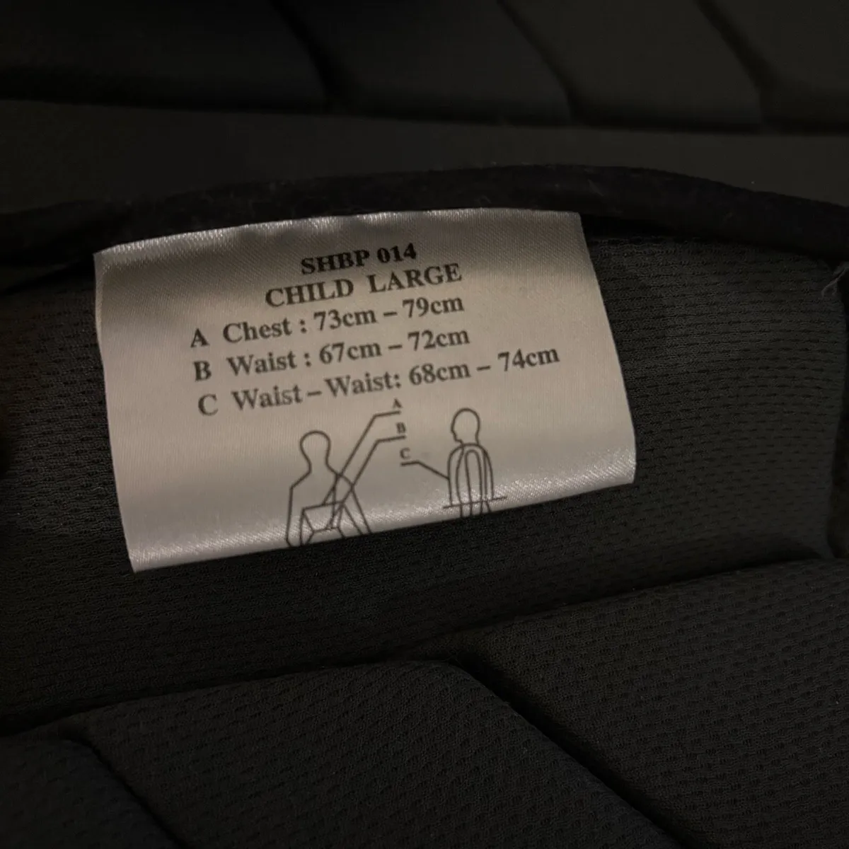 Horse riding Back Protector and  Champion Helmet - Image 4