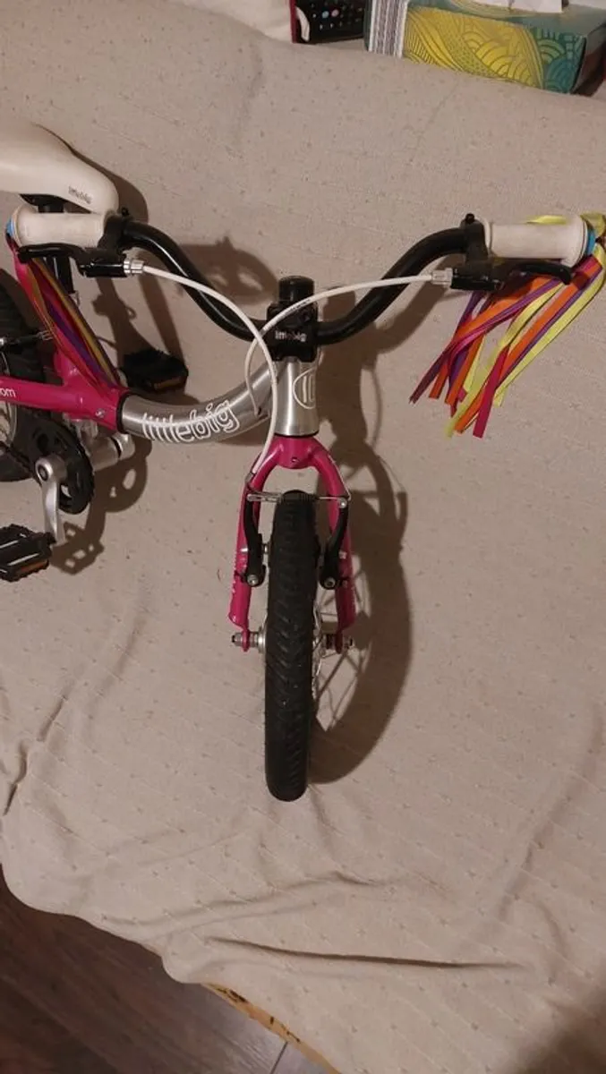 Little Big Bike - Image 3
