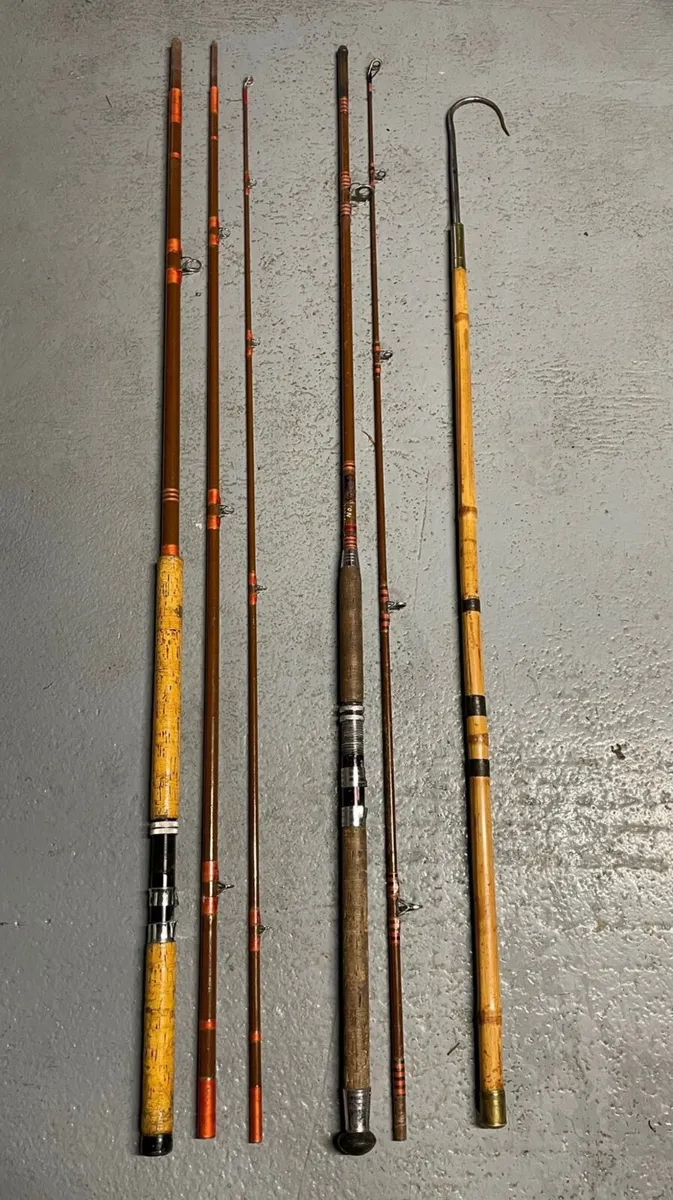 Fishing Rods plus gaff - Image 2