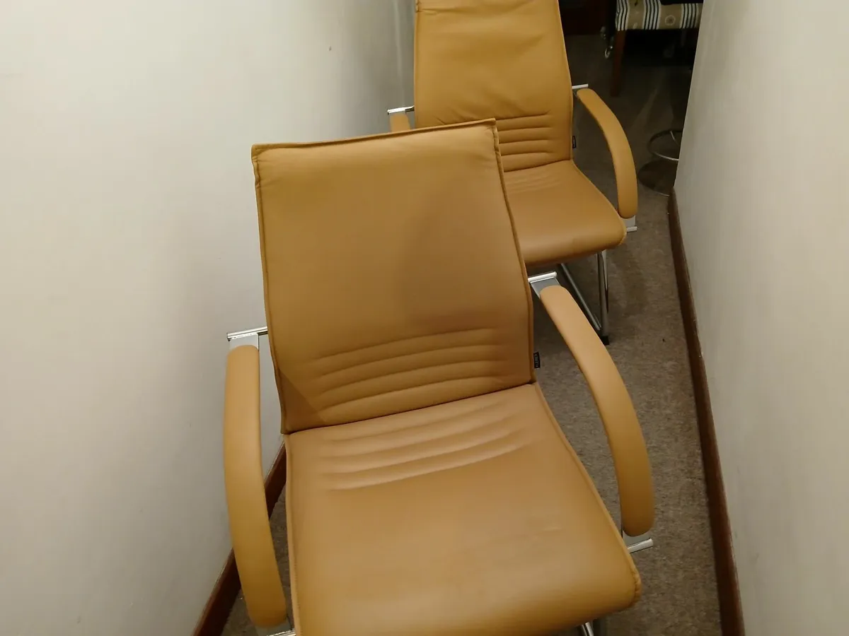 Chairs lot of (2)...cantiliver full leather x show - Image 2