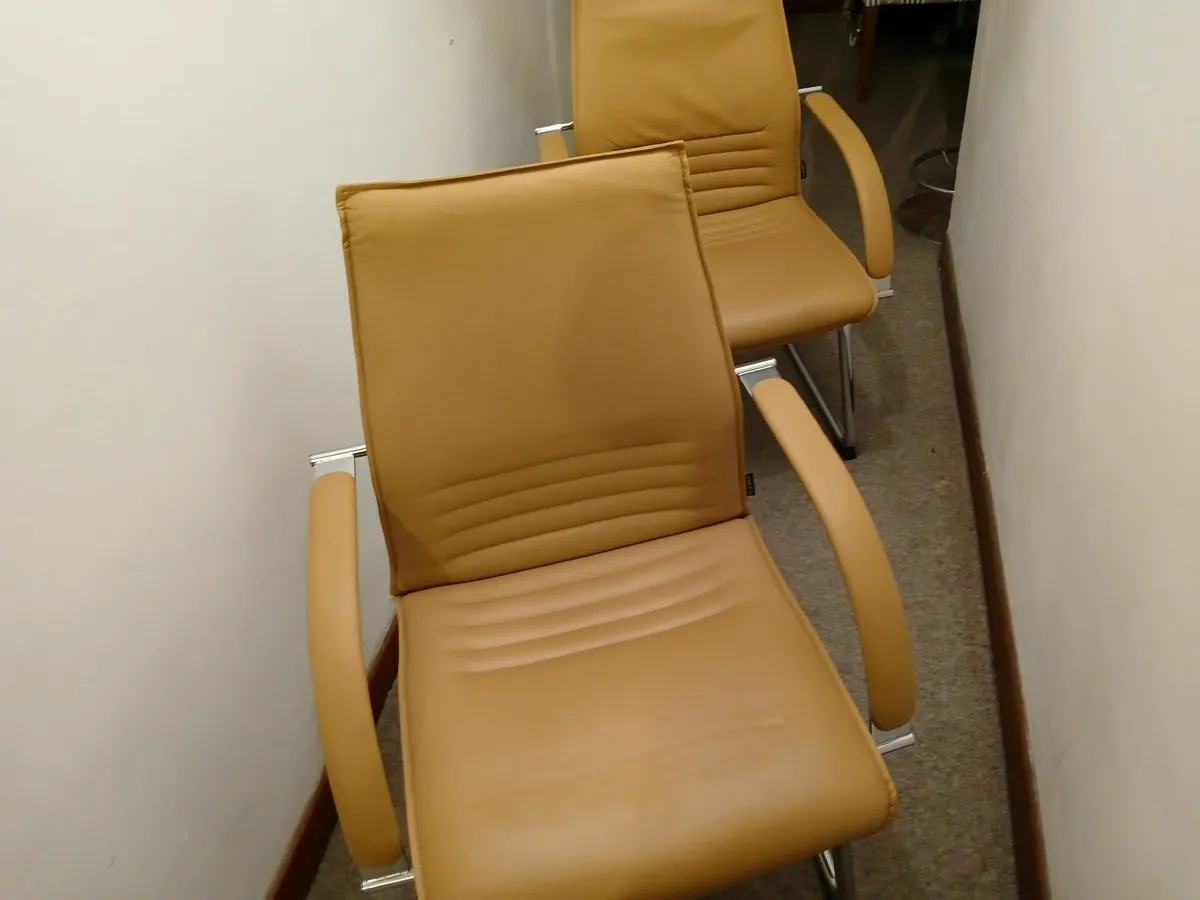 Chairs lot of (2)...cantiliver full leather x show - Image 3