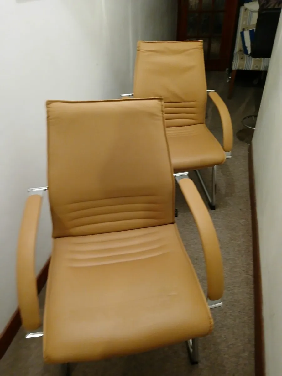 Chairs lot of (2)...cantiliver full leather x show - Image 4