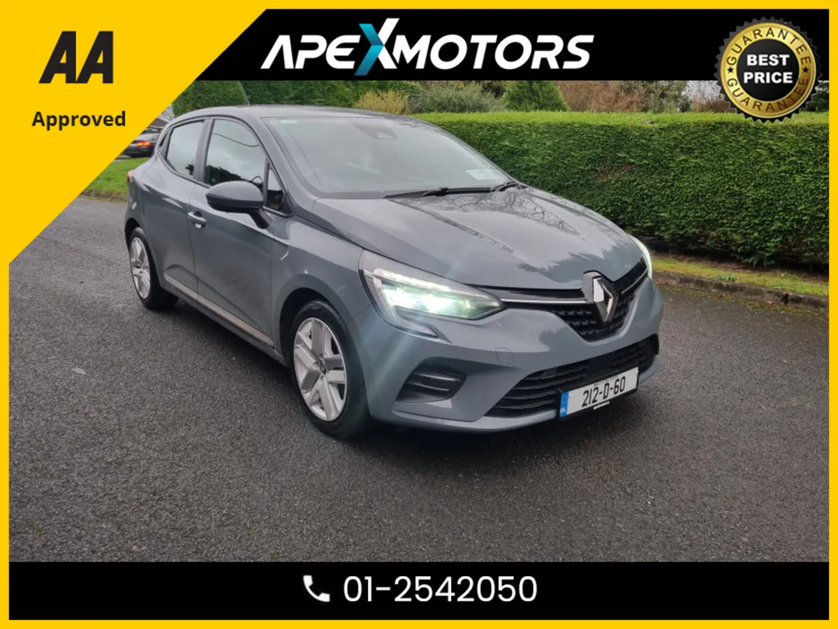 Renault Clio DYNAMIQUE TCE 100 MY19 5DR - Image 1