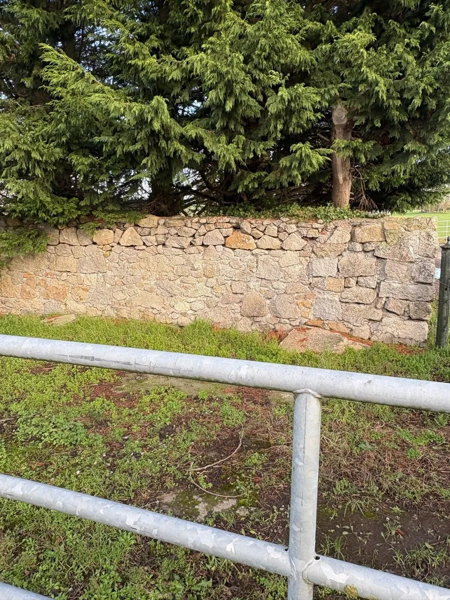 Granit stone - Image 1