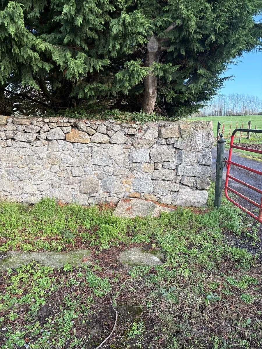 Granit stone - Image 3