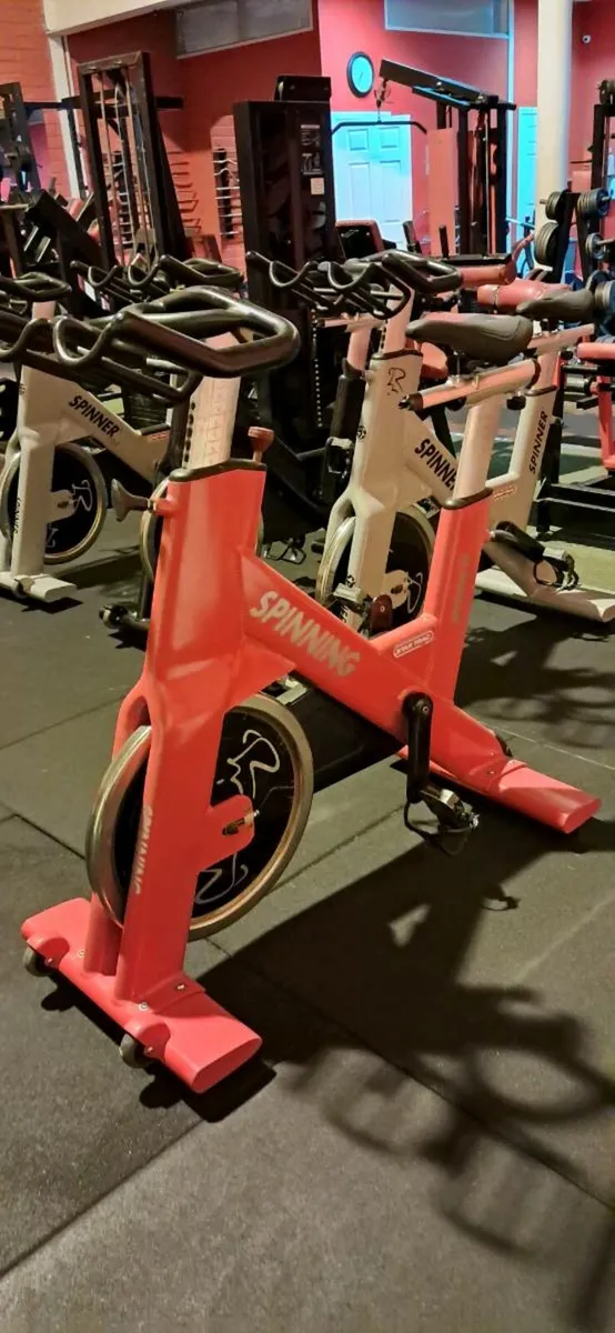 Spinning bike Star trac - Image 3