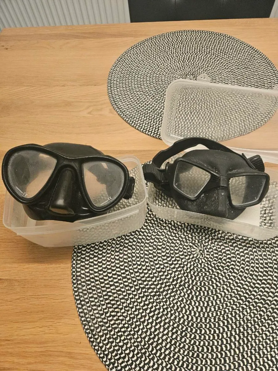 Wetsuit/ Spearfishing gear - Image 4