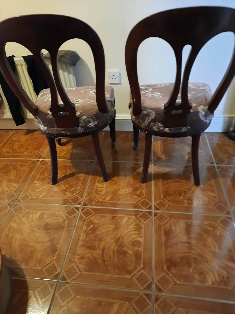 Pair of antique chairs - Image 3