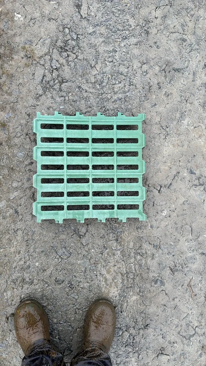 Calf slats - Image 3