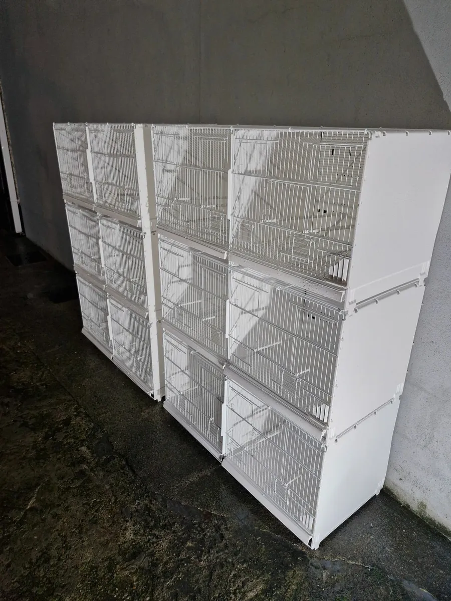 Bird cages - Image 1