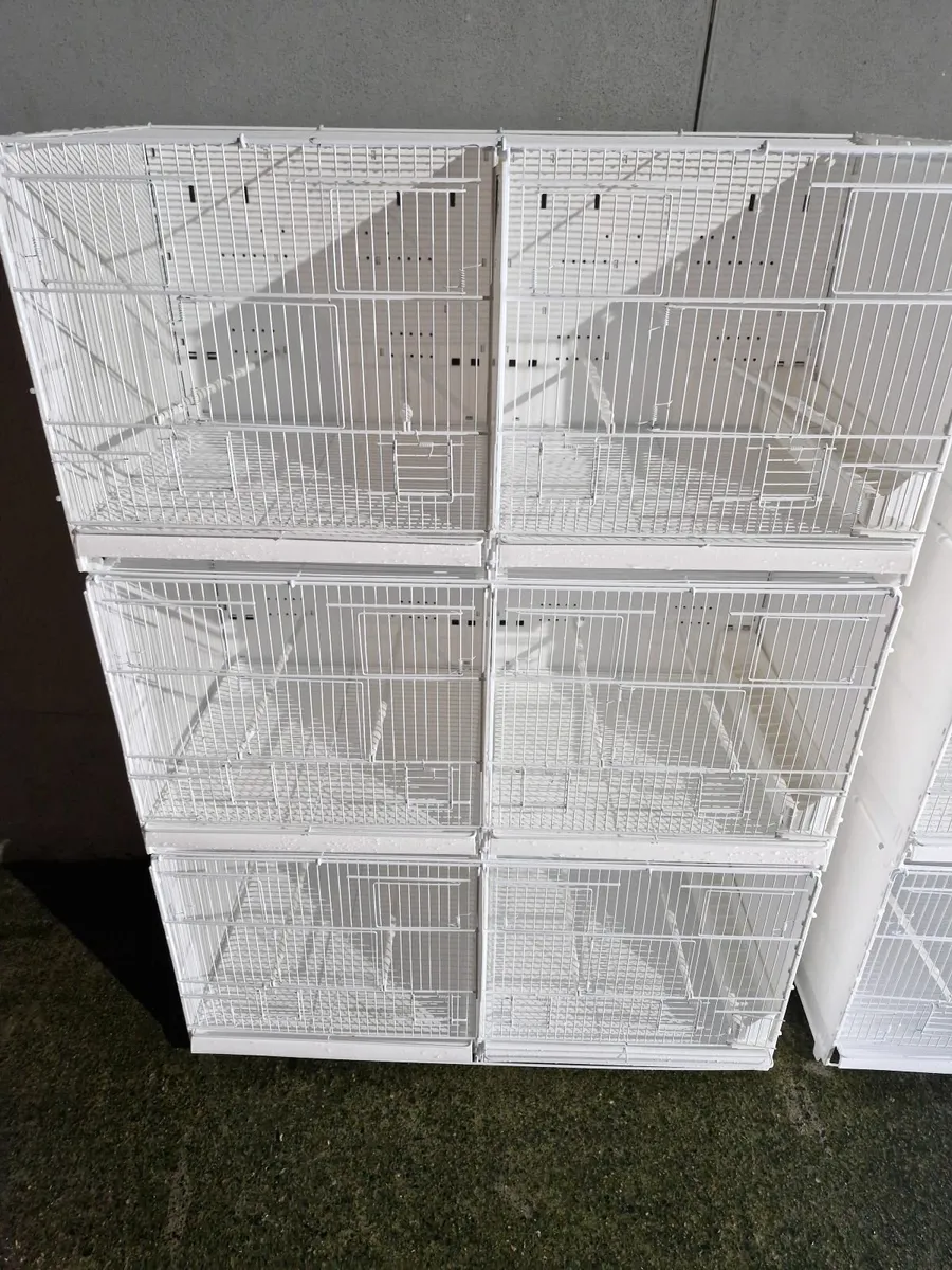 Bird cages - Image 3