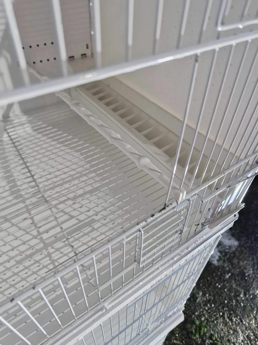 Bird cages - Image 4