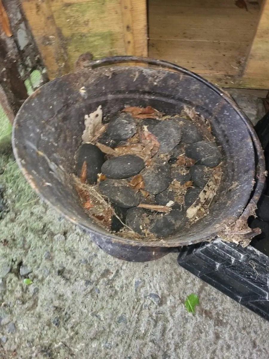 coal bunker and coal scuttle - Image 2