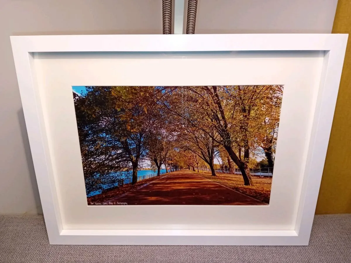 The Marina, Cork - Image 4