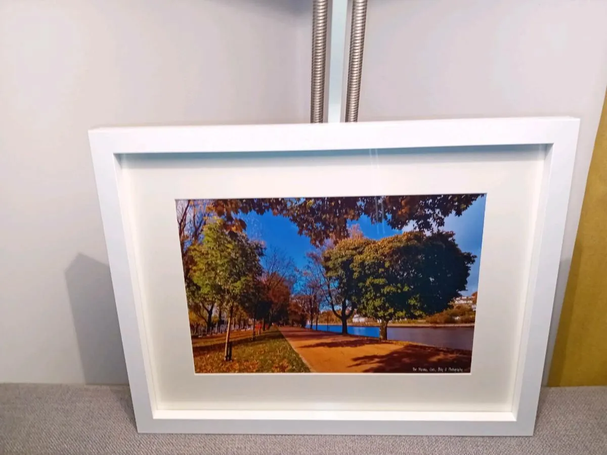 The Marina, Cork - Image 1