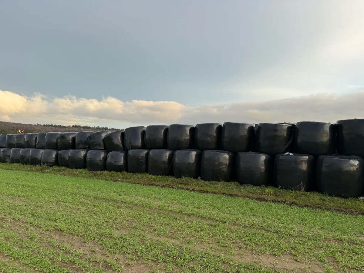 Silage