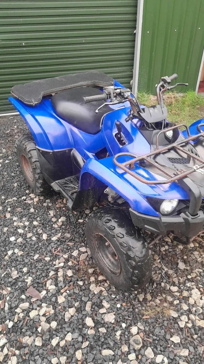 Yamaha Grizzly 300 - Image 2