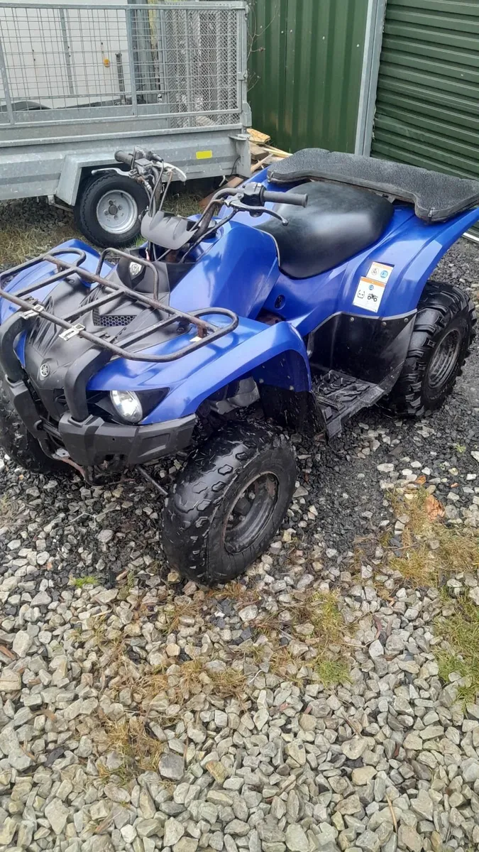 Yamaha Grizzly 300 - Image 1