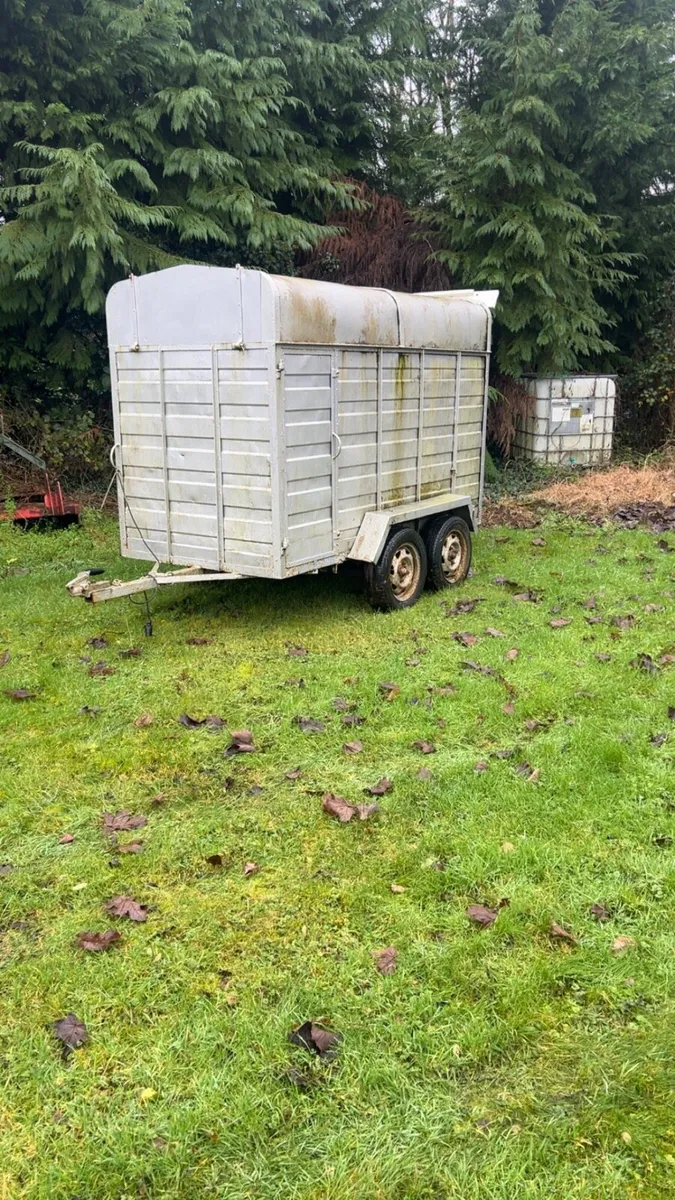 8x5 cattle trailer - Image 1