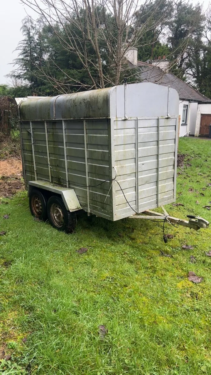 8x5 cattle trailer - Image 2