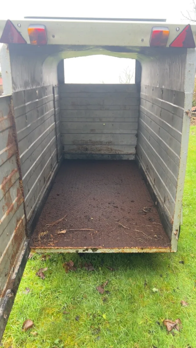 8x5 cattle trailer - Image 4