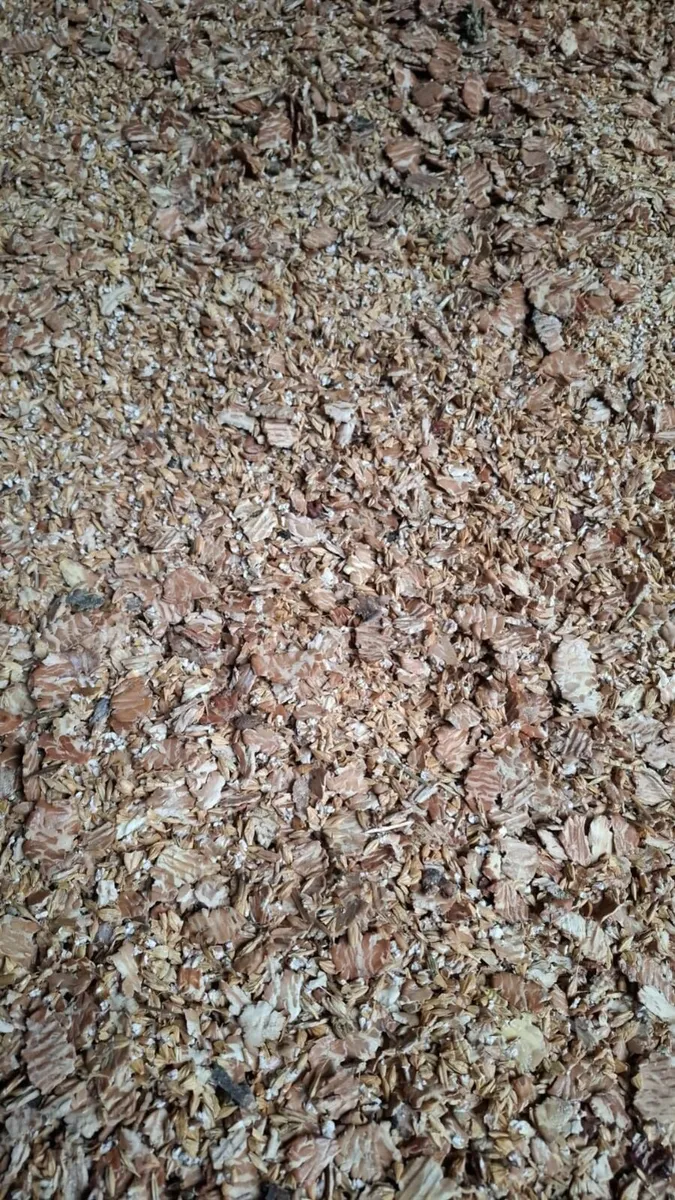 Organic Grain - Image 1